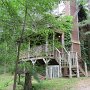 IMG_0582