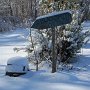 IMG_0420